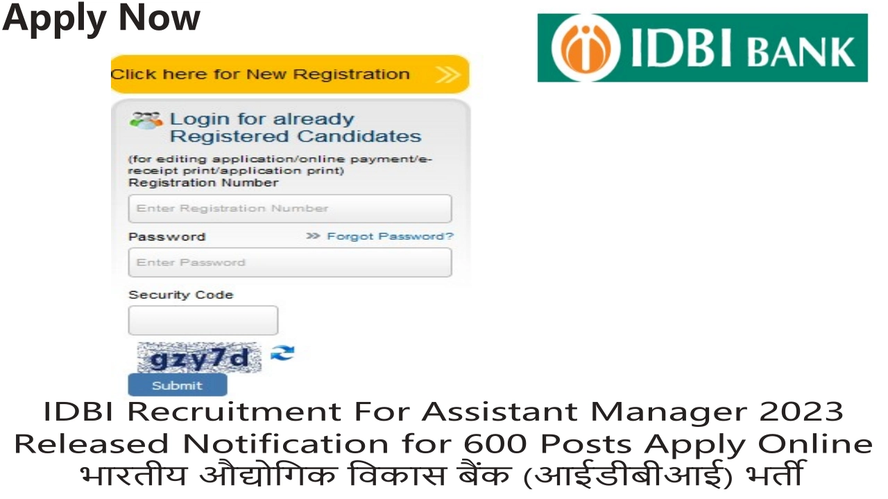 idbi assistant manager eligibility
